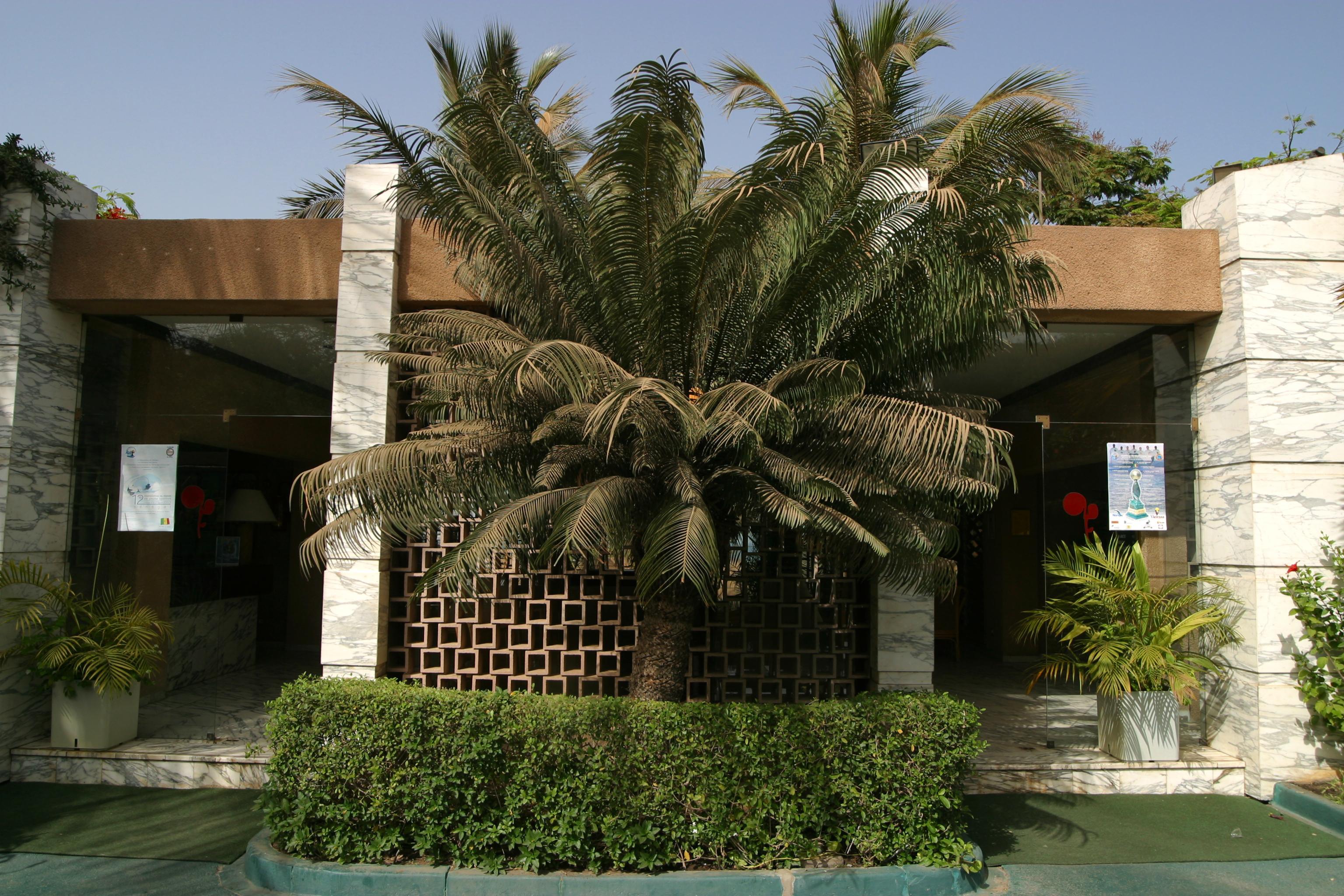 Hotel Jardin Savana דקר מראה חיצוני תמונה